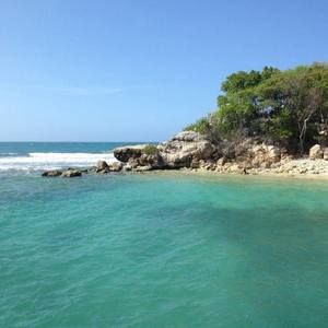 Meet your Posher, Willa